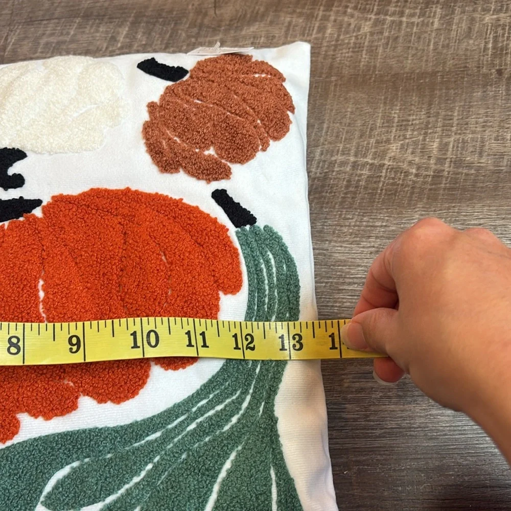 Target Pumpkin Gourd Festive Autumn Throw Pillow Set of 3 Fall Halloween